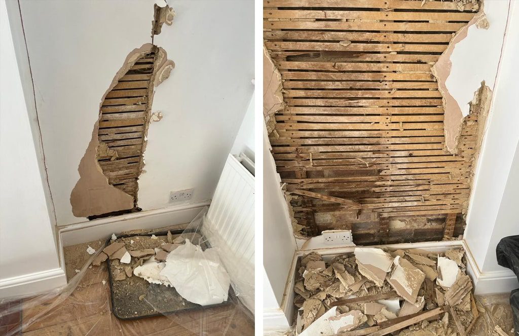 damp wall case study east sussex