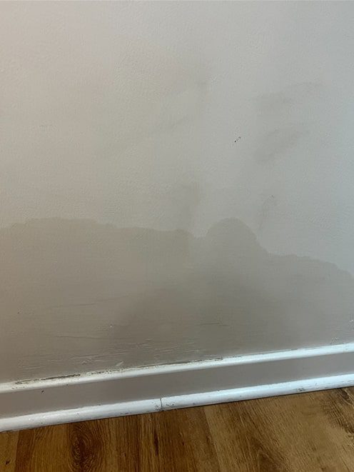 rising damp in home