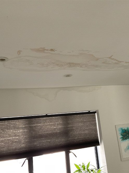 rising damp in property