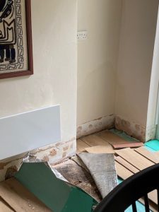 decorative spoiling and rot caused by penetrating damp