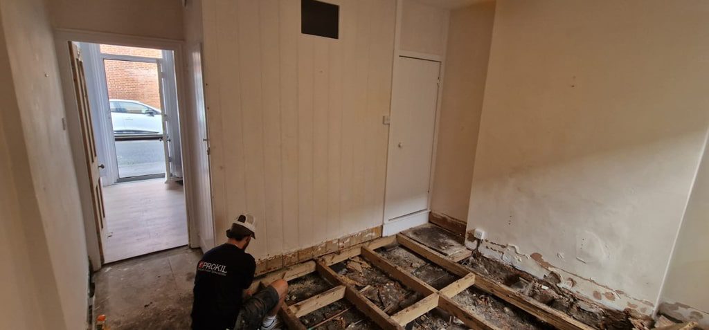 removing damp floorboards