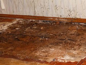 Floor with Wet Rot