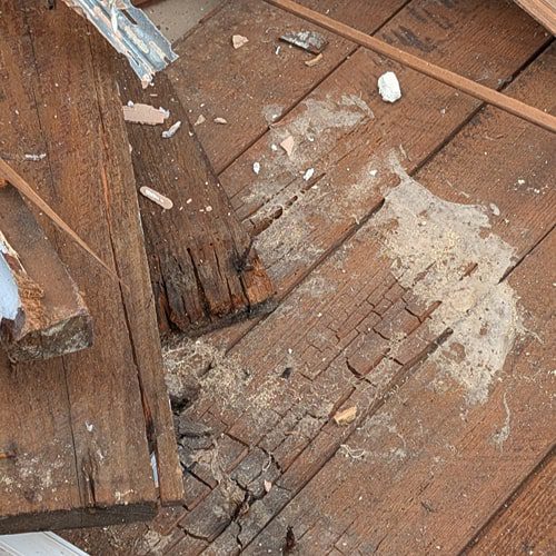Bournemouth Church Dry Rot
